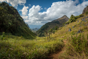 Green forest at Chiangdao mountain,Chiangmai Thailand