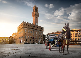 Horse on Piazza della Signoria - obrazy, fototapety, plakaty