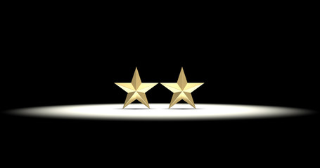 Two Gold Stars