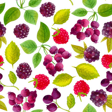 Seamless pattern with raspberries and leaf. Colorful illustration. Watercolor handpainted texture on white background for wallpaper, blogs,cover