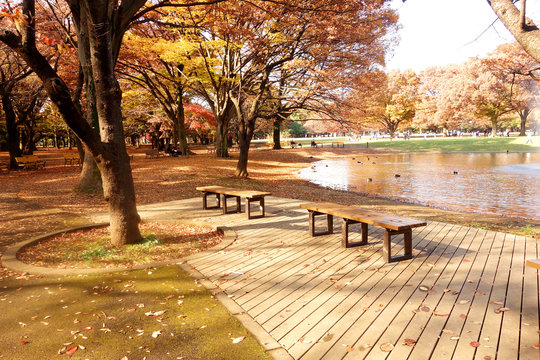 代々木公園
