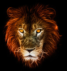 Digital fantasy fractal design art of a lion