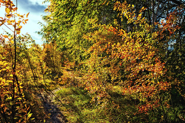 осенней тропою..