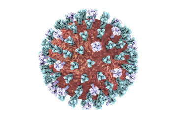 Influenza virus. 3D illustration showing surface glycoprotein spikes hemagglutinin blue and neuraminidase purple