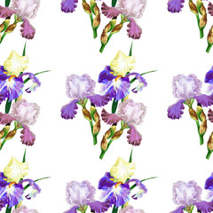 Fototapeta na wymiar Seamless pattern with colored irises