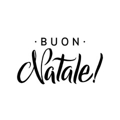 Fototapeta premium Merry Christmas Calligraphy Template in Italian. Greeting Card Black Typography on White Background. Vector Illustration Hand Drawn Lettering