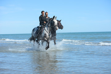 happy young couple vacation riding horses on the beach in a sunny summer day