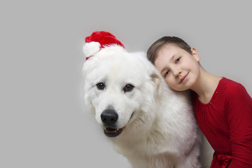 Portrait of a girl embracing her adorable white dog wearing a Christmas hat. These two are best of friends.
