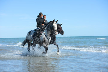 Fototapeta na wymiar happy young couple vacation riding horses on the beach in a sunny summer day