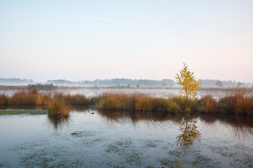 Großes Torfmoor (Hiller Moor)