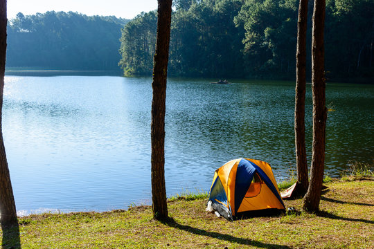 Camping Near Lake In Pine Forest