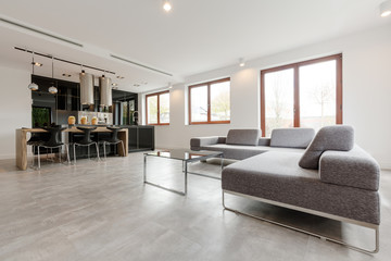Stylish living room combined with kitchen