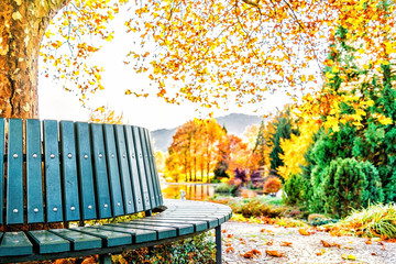 Herbst im Park 