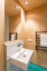 Bathroom with wooden walls