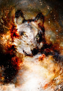 magical space wolf, multicolor computer graphic collage. Space fire.