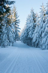 Zimowa droga przez Żmijowiec w Masywie Śnieżnika, Kotlina Kłodzka