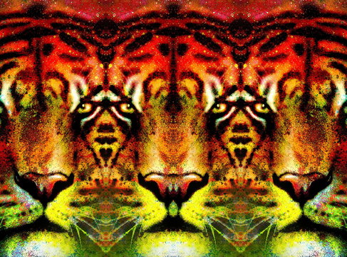 tiger face ornamental collage with repeated features, computer graphic.