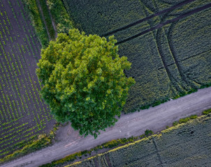 Drone - Polska © Joanna