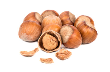 Hazelnuts in shell