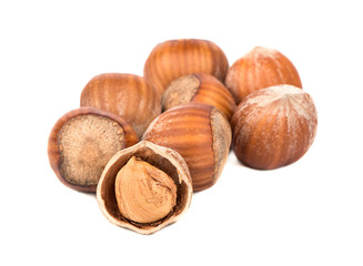 Hazelnuts in shell