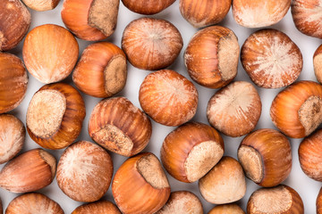 Hazelnuts in shell