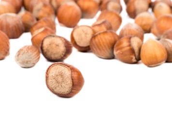 Hazelnuts in shell