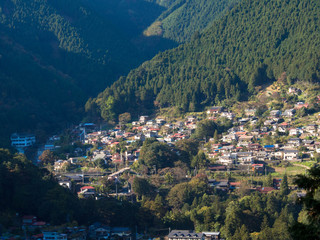 Obraz premium OLYMPUS DIGITAL CAMERA