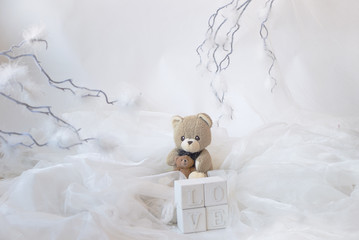 Teddy Bear on white background, celebratory Christmas and Valentine's Day