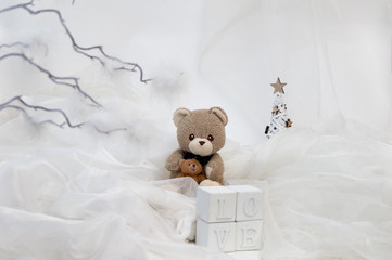 Teddy Bear on white background with a small Christmas tree
