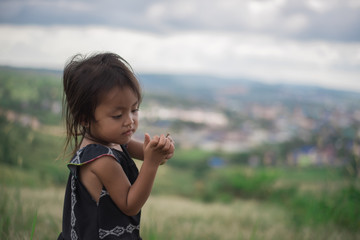 Asian Baby Meadow