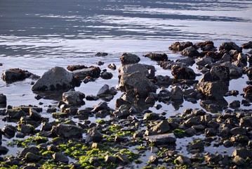 rocce, muschio, mare azzurro e blu increspato d'inverno