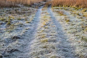 The road to the frosted grass. Frost on the road
