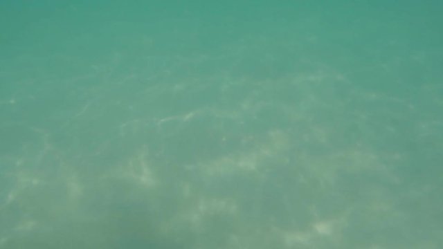 Frau in Wasser am Karibikstrand auf Kuba Varadero