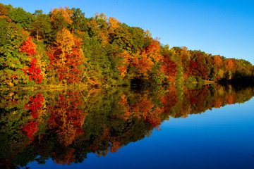 Colorful Fall