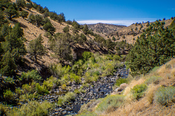 Fototapeta na wymiar Southern Oregon stream path