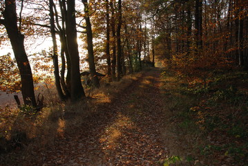 Bad Salzdetfurth