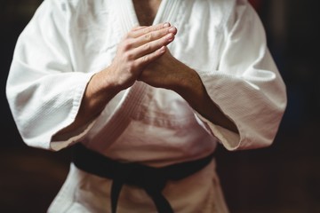 Karate player performing karate stance