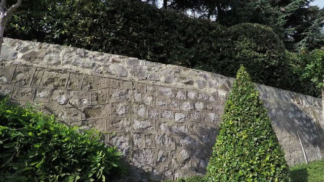 Stone wall with climbing plants