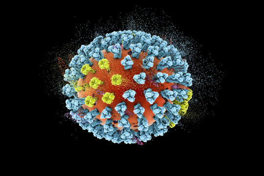 Destruction of Influenza virus,3D illustration. Concept for flu treatment and prevention