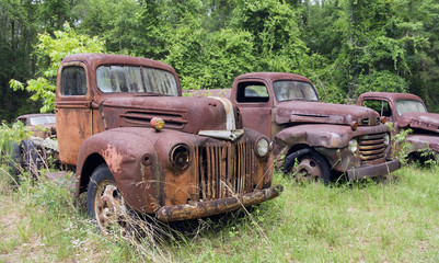 Rusting vintage trucks in a field.
