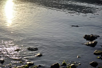 rocce riflesse sul mare