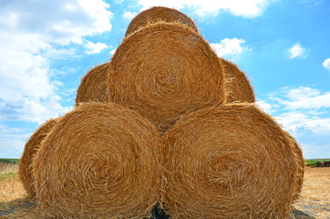 Strohballen, Feld