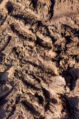 vehicle mark on mud
