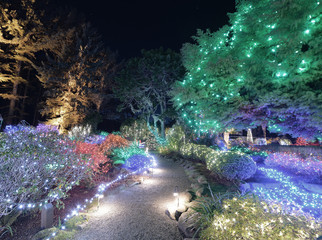 Holiday lights at Shore Acres State Park on the Oregon coast