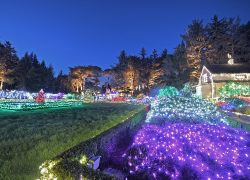 Holiday lights at Shore Acres State Park on the Oregon coast
