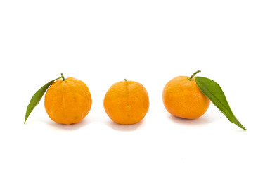Three mandarins isolated on white background
