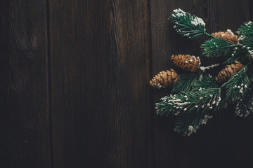 Christmas tree on the floor, Christmas tree, Christmas toys 