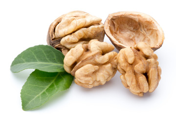Walnut and walnut kernel isolated on the white background.