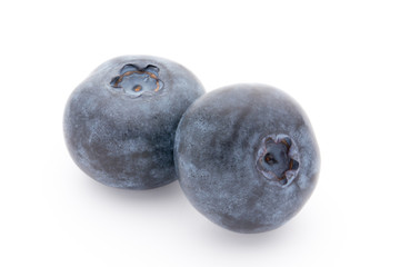 Close up of a blueberry branch isolated over white.