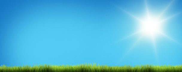 Obraz na płótnie Canvas light blue sunny sky green grass 3D render